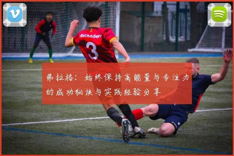 弗拉格：始终保持高能量与专注力的成功秘诀与实践经验分享