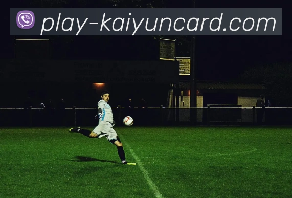 App Interface Preview